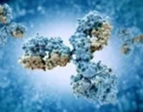 Ứng cử viên vắc xin thúc đẩy loại kháng thể HIV trung hòa rộng rãi