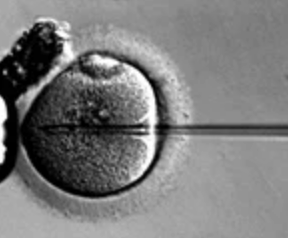 Cột mốc trị liệu gen tại SickKids mang lại hy vọng cho trẻ mắc chứng rối loạn thoái hóa thần kinh SPG50