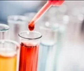 Protein được xác định là chìa khóa để ngăn ngừa sự tích tụ chất béo và các bệnh liên quan