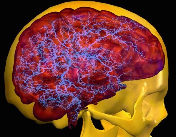 Những hiểu biết mới về tế bào hình sao mang lại hy vọng cho việc điều trị bệnh Alzheimer