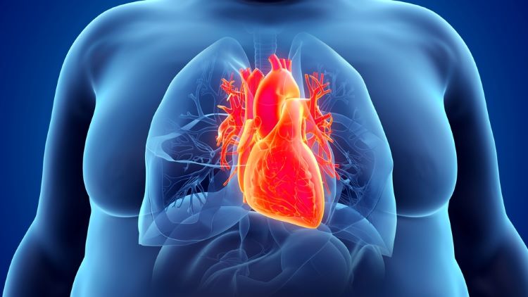 Semaglutide chứng minh lợi ích tim mạch